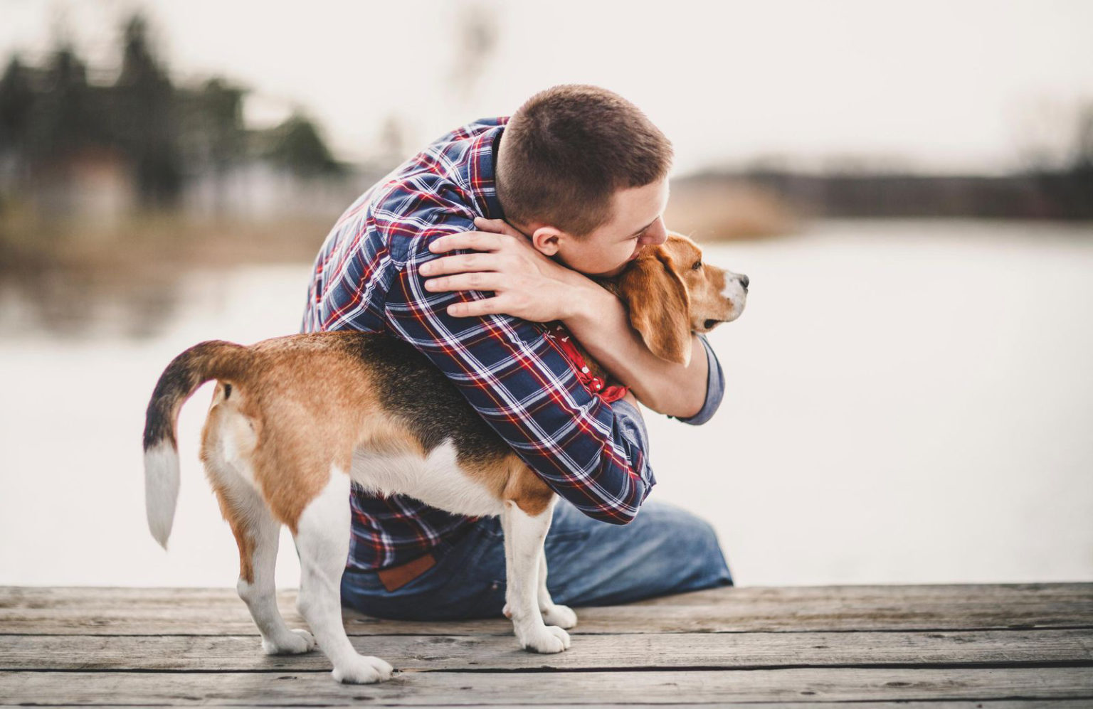 köpek besleme arşivleri KöpekBilgi