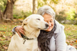 Yaşlı Köpek Bakımı Nasıl Olmalı? Köpeklerde Yaşlılık