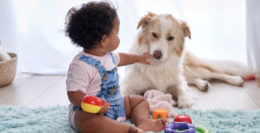Köpeğinizle Bebeğinizin İlk Tanışması Nasıl Olmalı